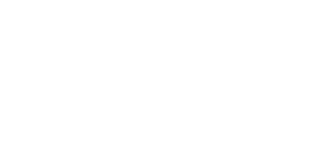 Blai Limousines